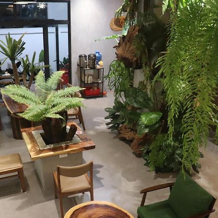 Fern Forest Homestay Phú Quý Zewnętrze zdjęcie