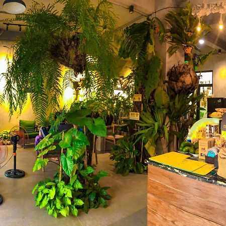 Fern Forest Homestay Phú Quý Zewnętrze zdjęcie