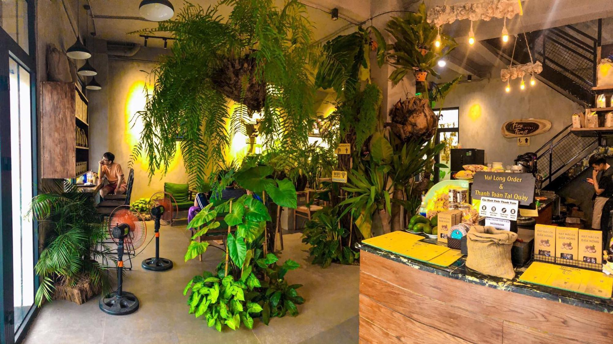 Fern Forest Homestay Phú Quý Zewnętrze zdjęcie