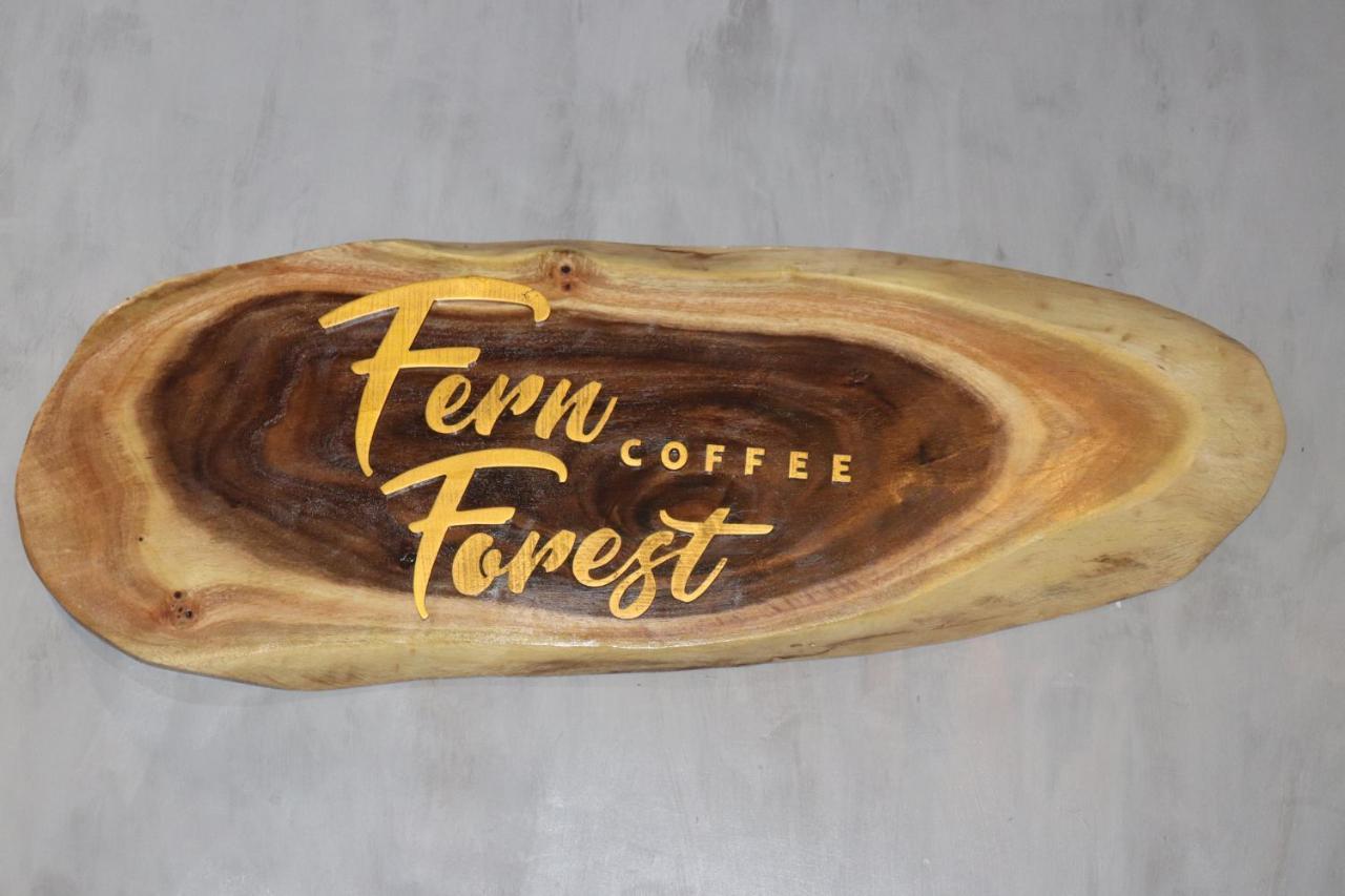 Fern Forest Homestay Phú Quý Zewnętrze zdjęcie